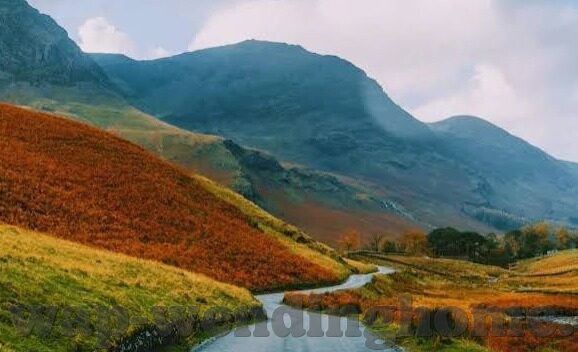 比分大数据足球-比分大数据足球，科技赋能下的绿茵场新革命